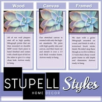 A Stupell Industries fényes közeli virág kora rózsaszín fehér fénykép vászon fali művészete, Elise Catterall, 24 30