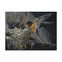 Védjegy Szépművészeti „Country Barn Swallows” vászonművészet Wilhelm Goebel által