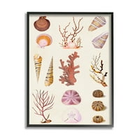 Stupell Industries vegyes tengeri élet korallok kagylók grafikus művészet fekete keretes művészet nyomtatott fali művészet,