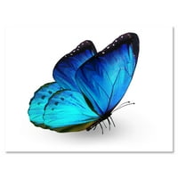 DesignArTART 'Világos kék pillangó közelről a fehéren ”modern vászon fali művészet nyomtatás