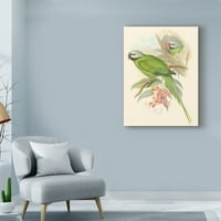 Védjegy Képzőművészet „Trópusok kis madarai II” vászon művészete, John Gould