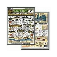 Szűkön a Publications harcsa édesvízi halak diagramja 13
