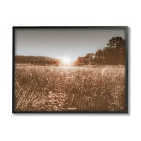 Stupell Industries Sunrise Country Meadow Tall Grass Light Photography, 24, Nathan Larson tervezése