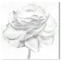 Wynwood Studio Fehér Ezüst bazsarózsa virágos és Botanikai Wall Art vászon nyomtatás - fehér, szürke, 20 20