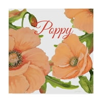 Védjegy képzőművészet 'Poppy 2' vászon művészet Jean Plout